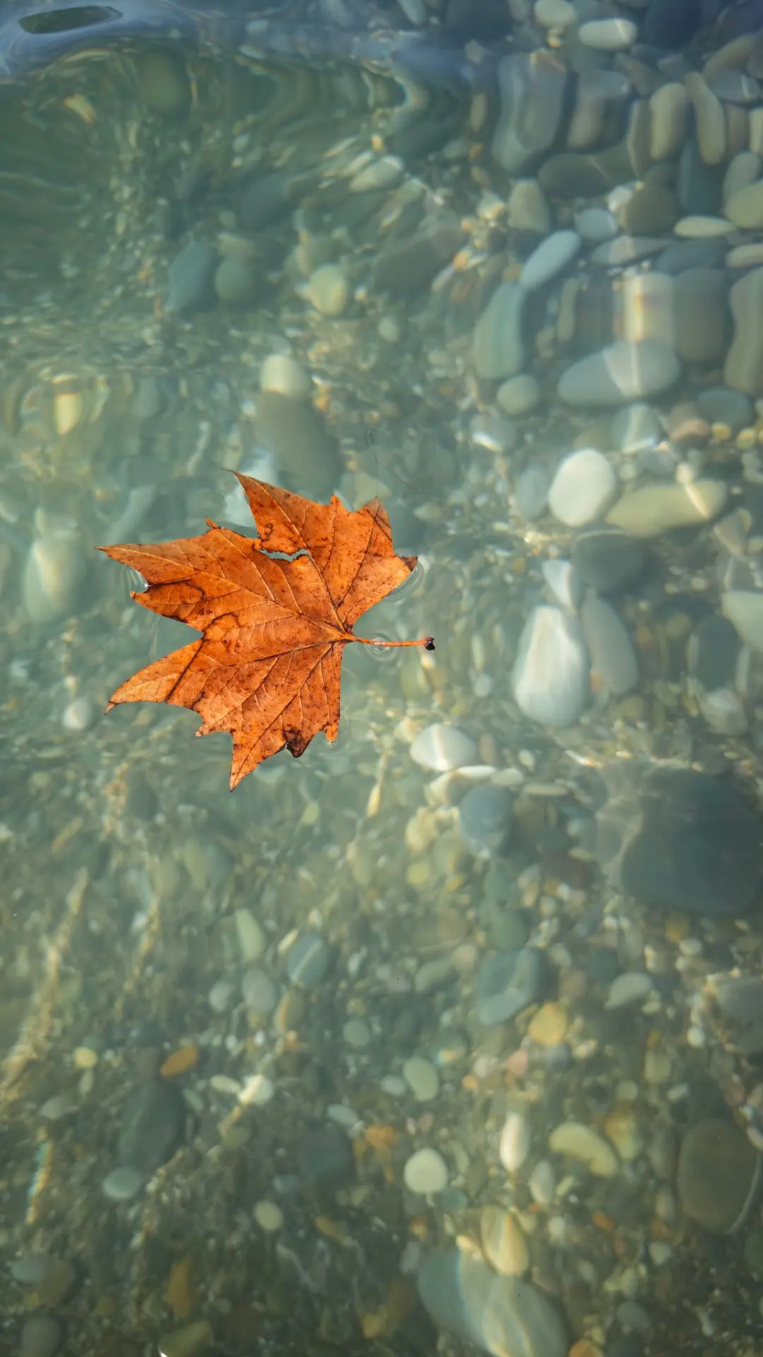 Уж море 🌊 осенью 🍁 дышало