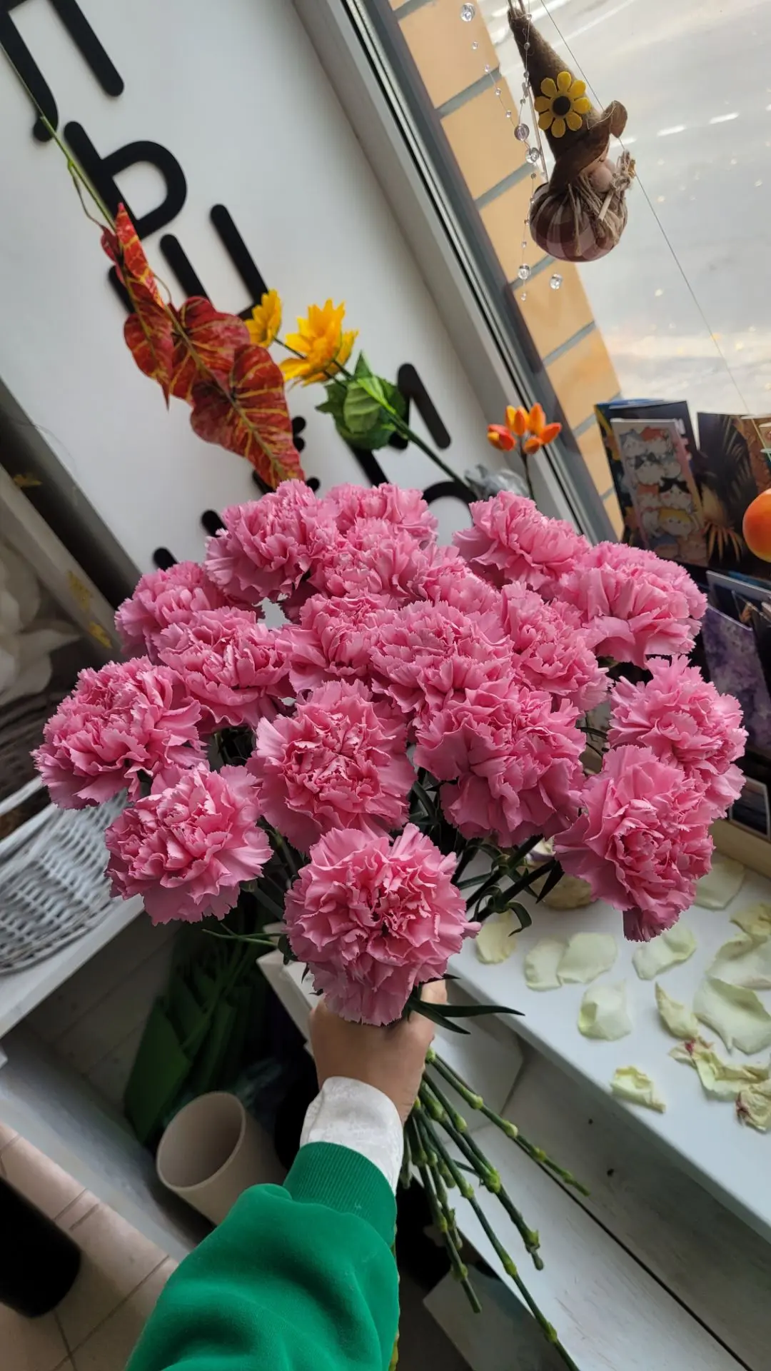 Диантусы 🩷 160р