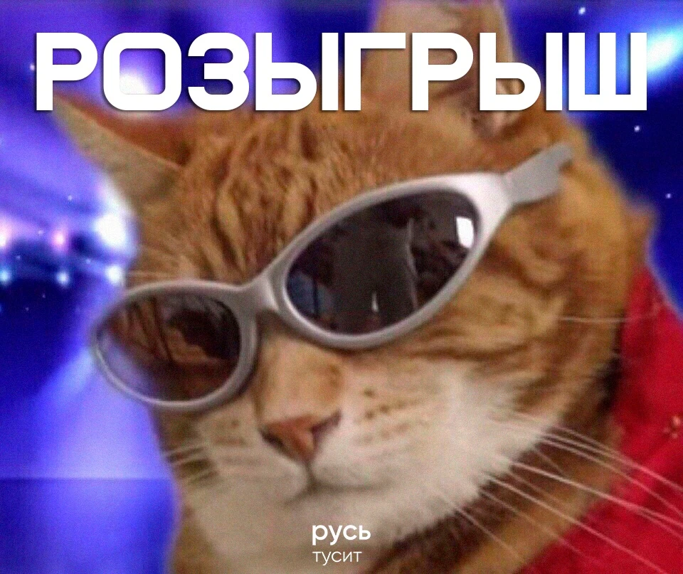 Розыгрыш 🪩