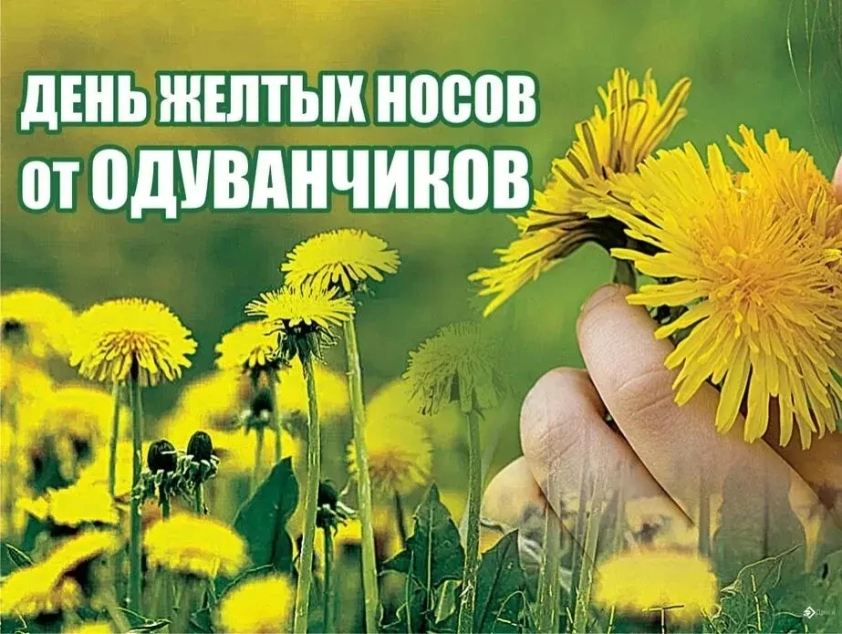 "Что за чудо из чудес,