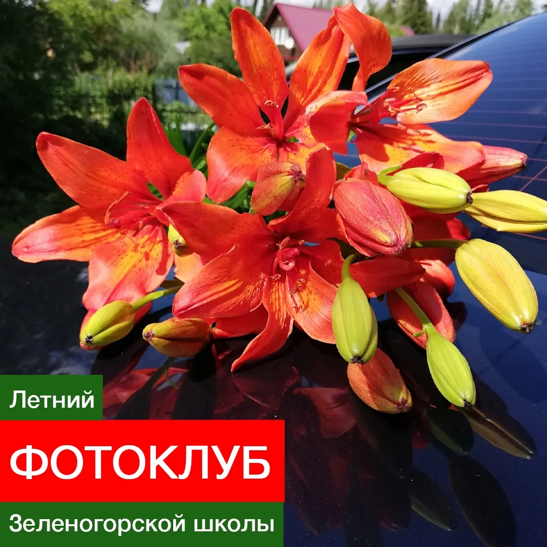‼️ СРЕДА — ЭТО В НАШЕМ ШКОЛЬНОМ ПАБЛИКЕ ВРЕМЯ «ЛЕТНЕГО ФОТОКЛУБА»!📸