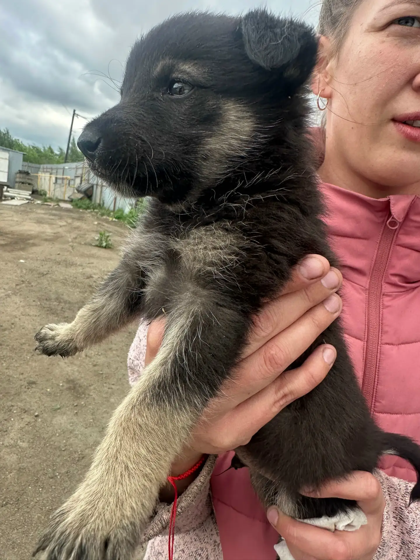 Челябинск ‼️‼️‼️‼️‼️‼️‼️‼️‼️‼️‼️‼️
