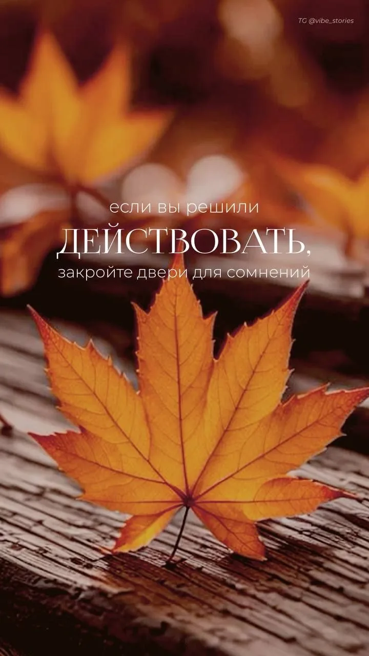 Начните действовать и забудьте о любых сомнениях. 💪😊