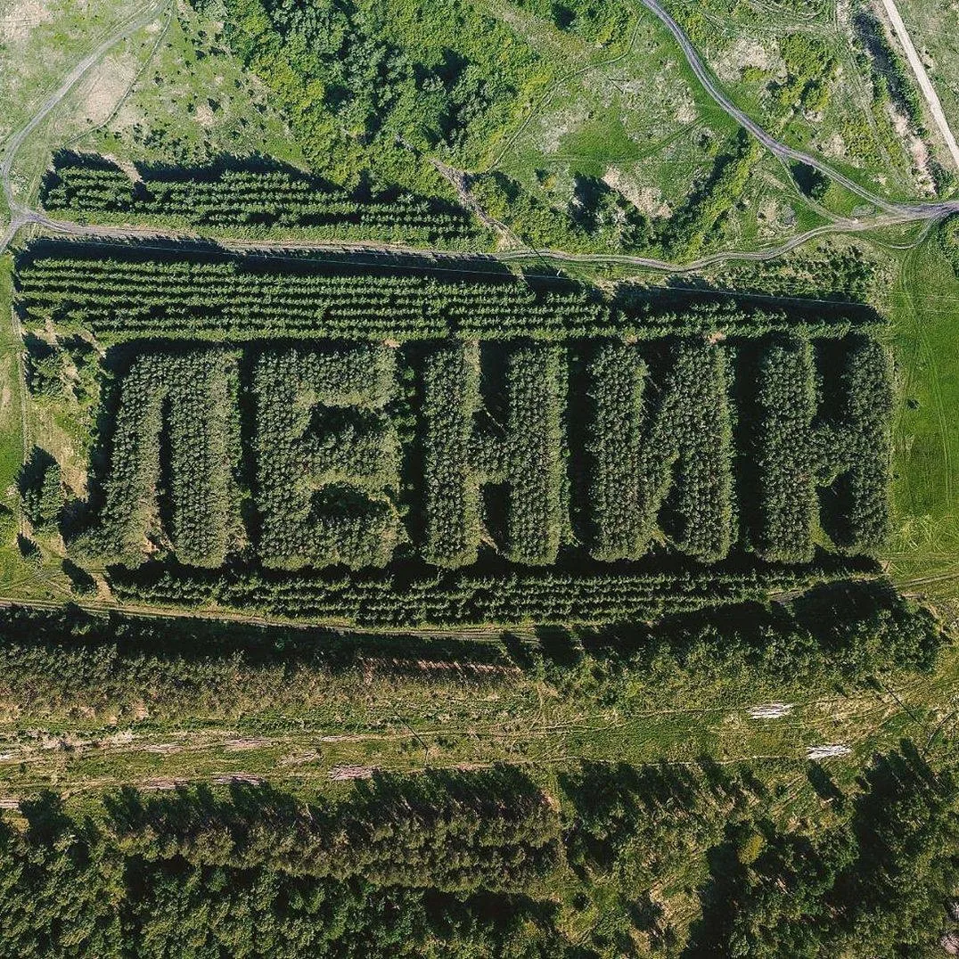 🌲Необычное и интересное место ⠀ Рядом с Тюкалинском, в трёх километрах от федеральной трассы, сосны 