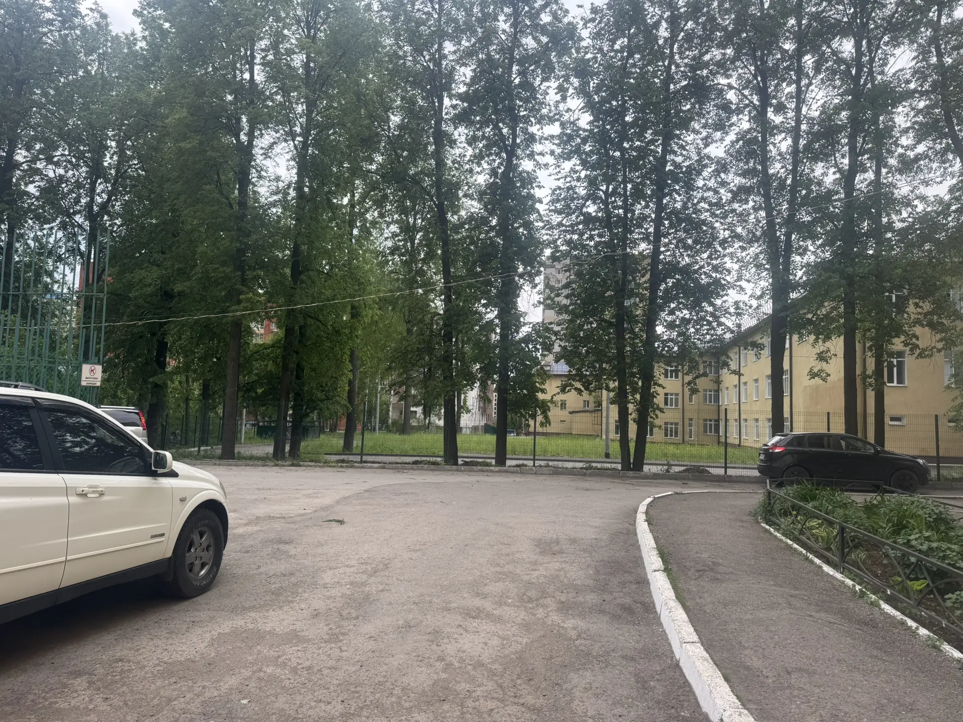 Очень сильный ветер, две ветки уже надломились, лучше не парковаться под этими липами с...