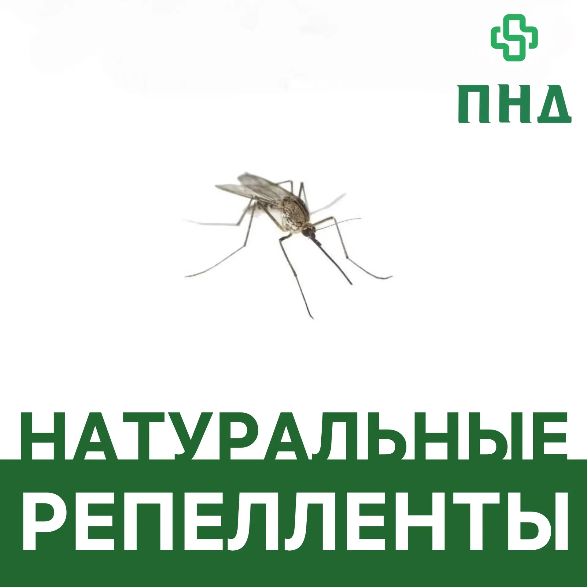 Чтобы вечерним прогулкам и работе на свежем воздухе никто не мешал🦟⛔️