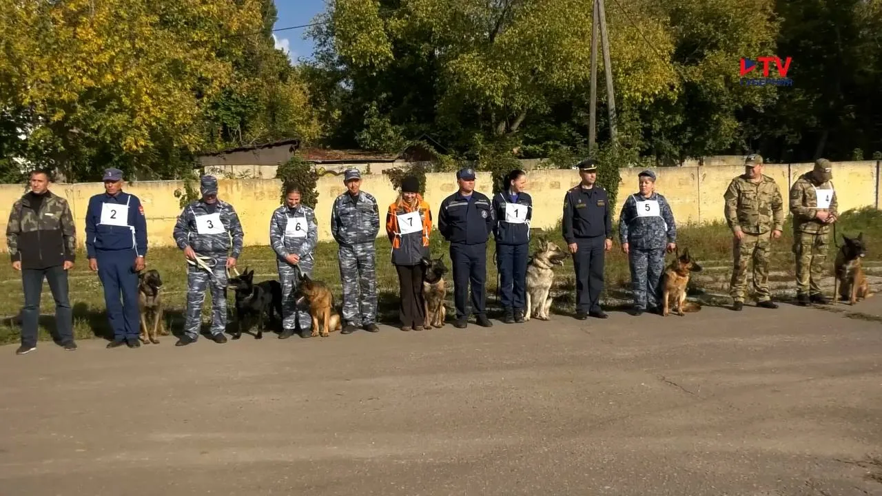 🐕 Служебные собаки искали взрывчатку среди сосисок на соревнованиях в Воронеже.