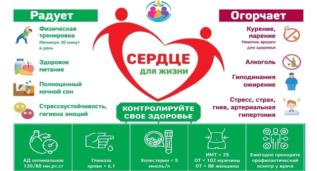Сердце — не насос. Это живой орган, который чувствует стресс, радость, усталость