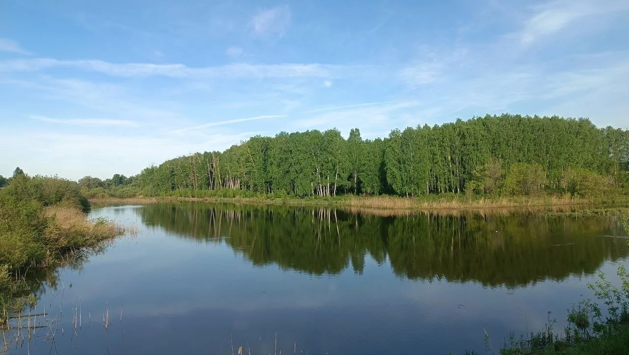♥️Доброе утро, Чишмы!  Сегодня: +17…⁠+27° · ветер 1,8–⁠4,5 м⁠/⁠с, порывы до 11 м⁠/⁠с