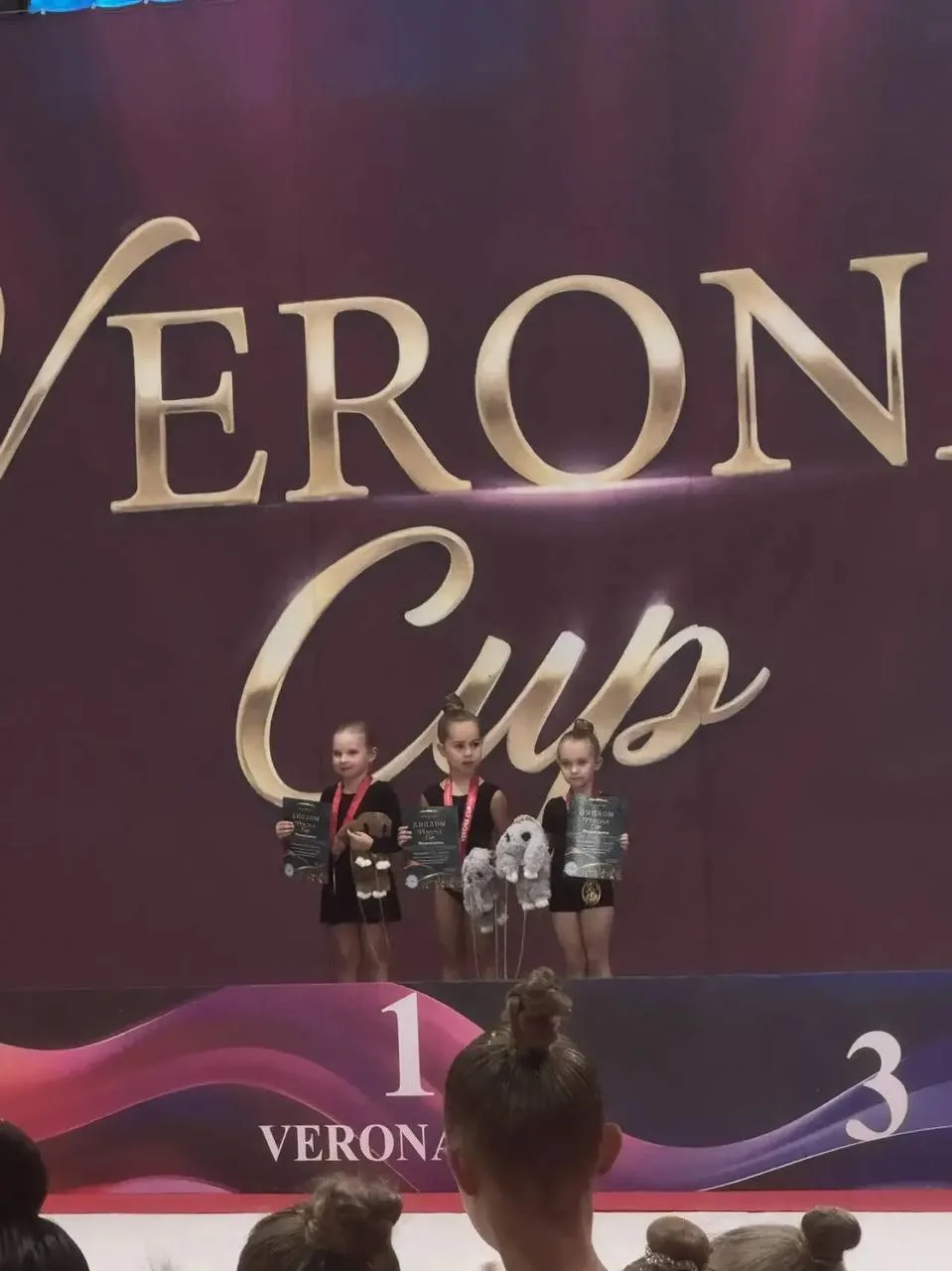 🏆 Шесть первых мест на Verona Cup!