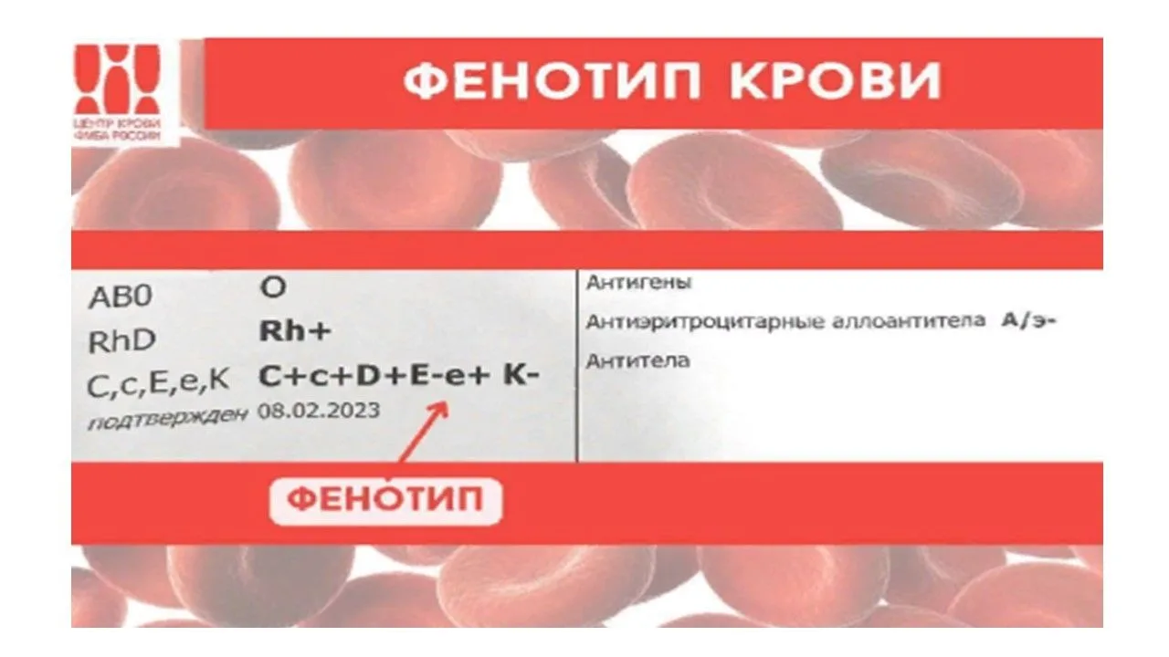 Зачем донору крови фенотип  или как расшифровать загадочные D, C, E, d, c, e ?