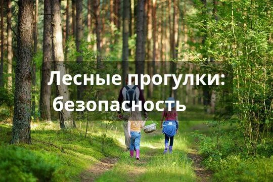 Насекомые: кто опаснее всех, и почему нельзя хлопать по шершню

🐝Летом кусают все: комары, мухи, ов