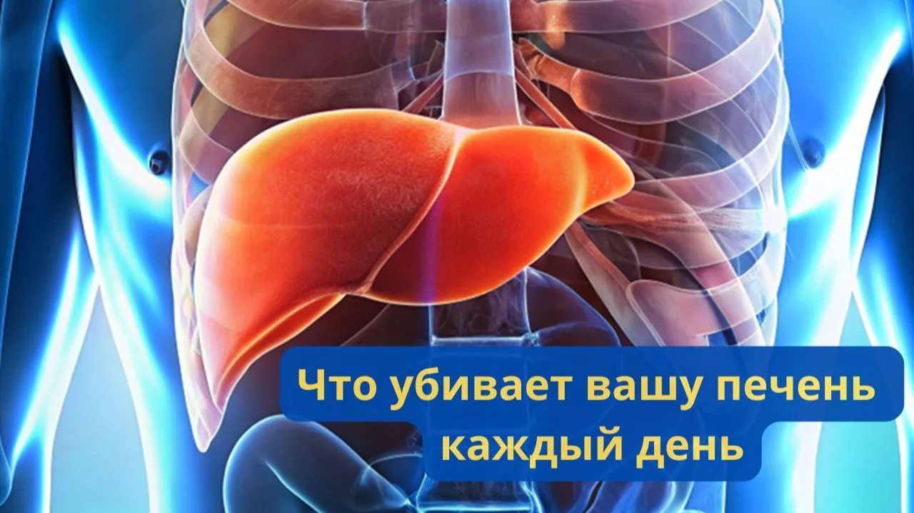 Что убивает нашу печень?
Печень страдает не только от вирусов. Значительную долю в структуре печеноч