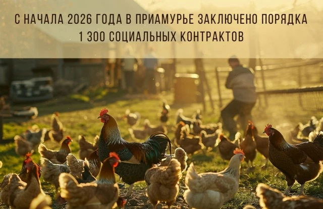 Более 500 амурчан воспользовались помощью в поиске работы, 442 – открыли собственное де...