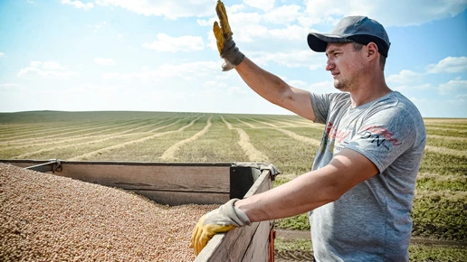Солнцев сообщил о трехкратном росте экспорта оренбургского зерна