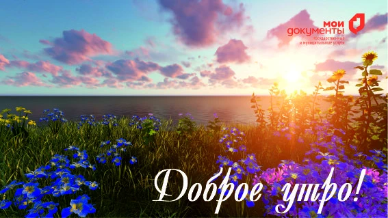 ☀️ Доброе утро, друзья!

Начало рабочей недели, середина июля… А вы вообще успели заметить, что лето