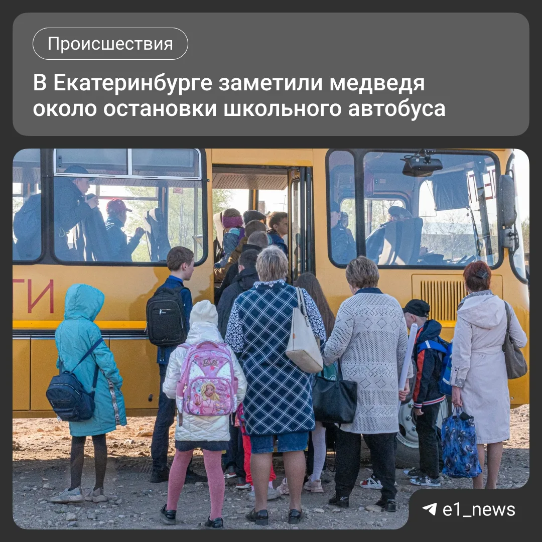 Медведя заметили у остановки школьного автобуса 🤯