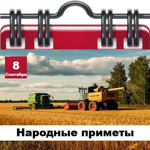 Народные приметы 8 сентября