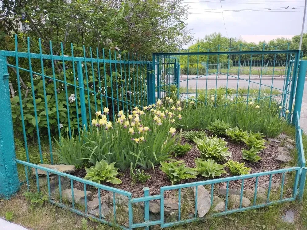 🔅Уважаемые родители учеников гимназии!
❤️От лица администрации и всего педагогического коллектива г