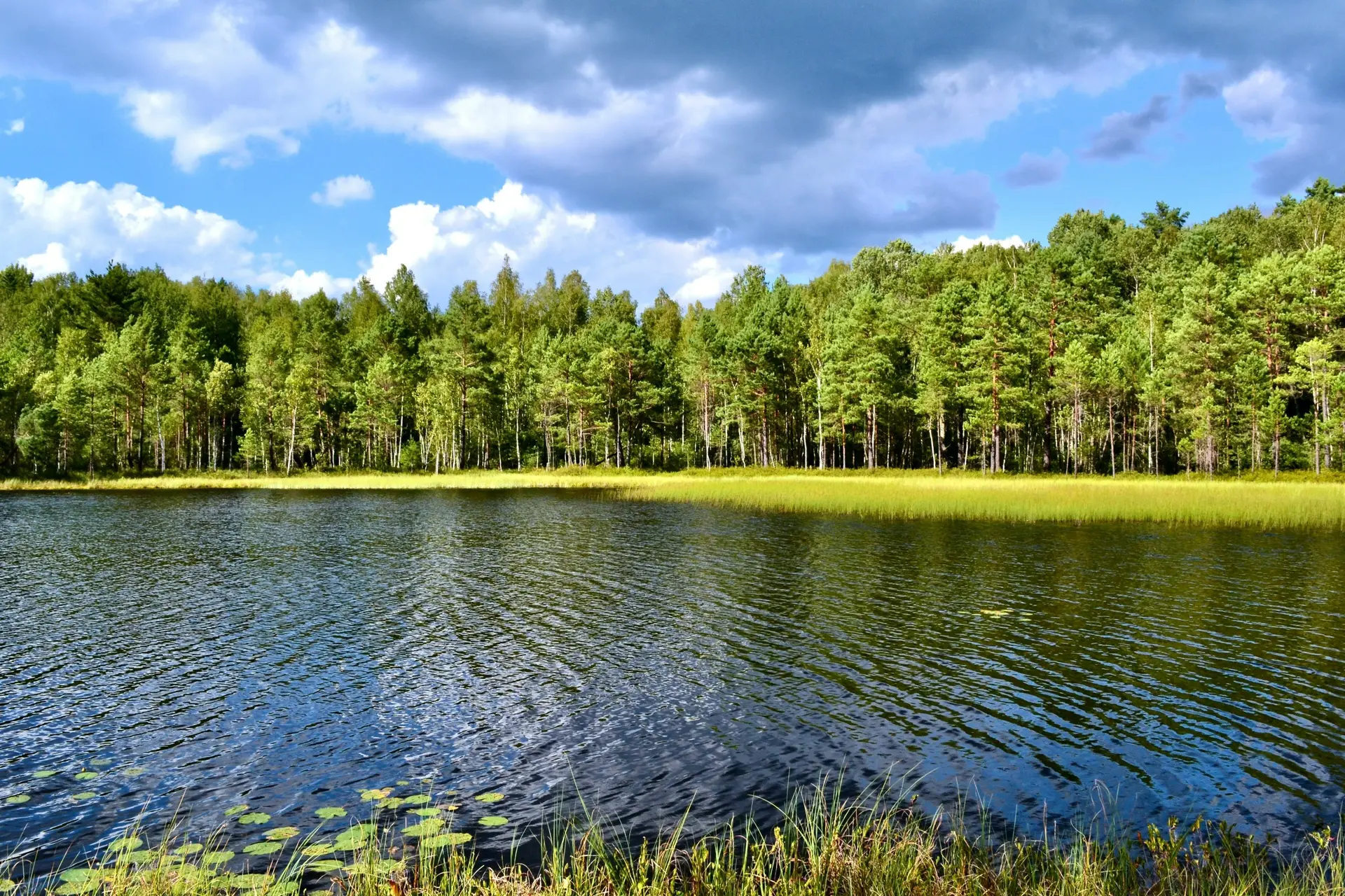 ФОТО ДНЯ 📸

Уже успели поплавать в реке? Сезон давно открыт 😉