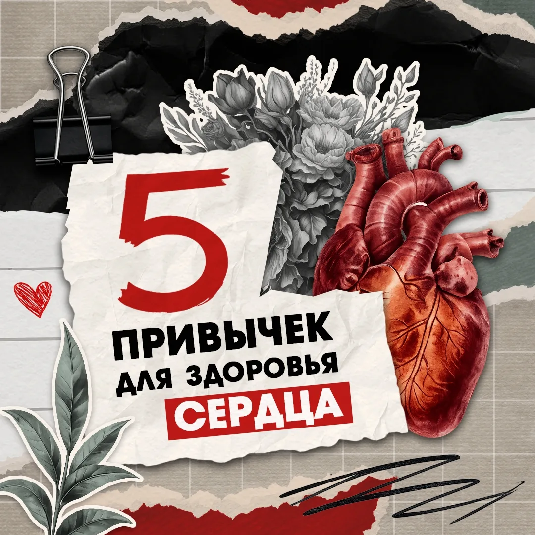 ❤️Здоровье сердца — в ежедневных привычках!

Сердечно-сосудистые заболевания остаются одной из самых