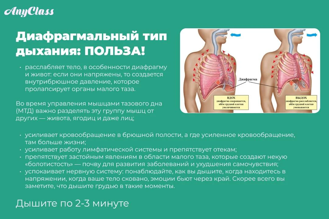 🫁 Вы дышите десятки тысяч раз в день. Но делаете ли это правильно?