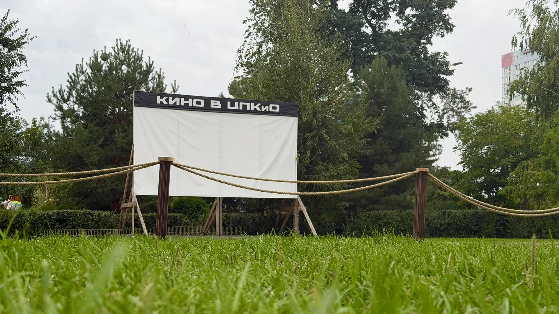 🎬🌧️ Гарри Поттера досмотреть не получится :(