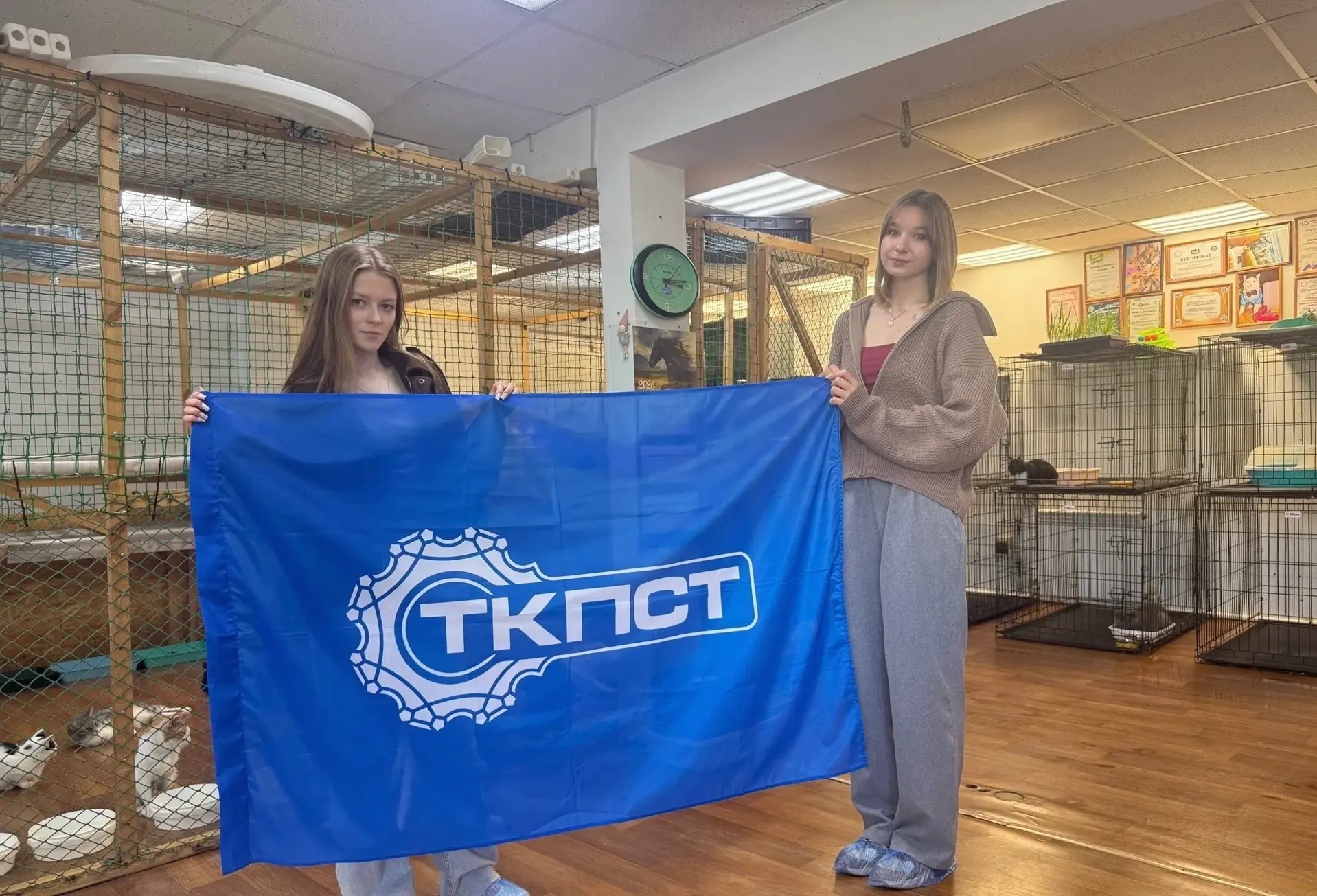 - ТКПСТ ВОЛОНТЕРСТВО - 🐈