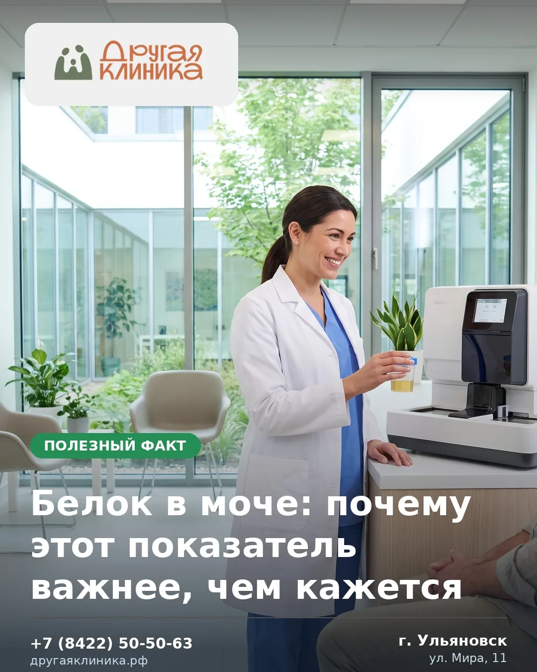 Здоровые почки не пропускают белок в мочу. Его появление (протеинурия) — один из самых ...