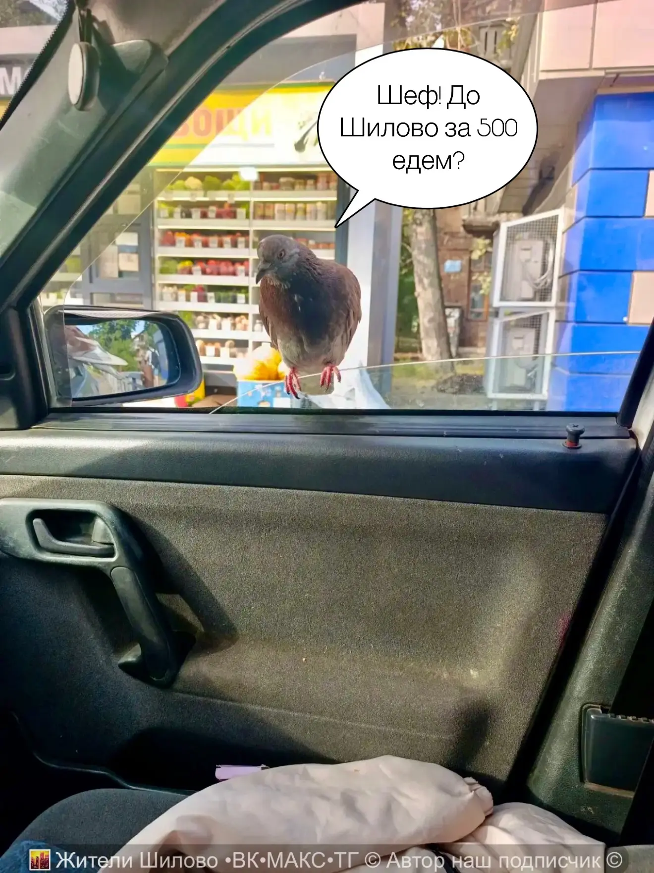 Перелетные птицы 😁