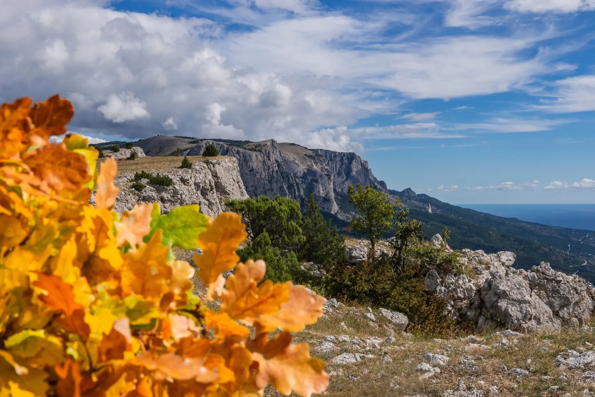 В Крыму наступает самая красивая пора!🍂🍁