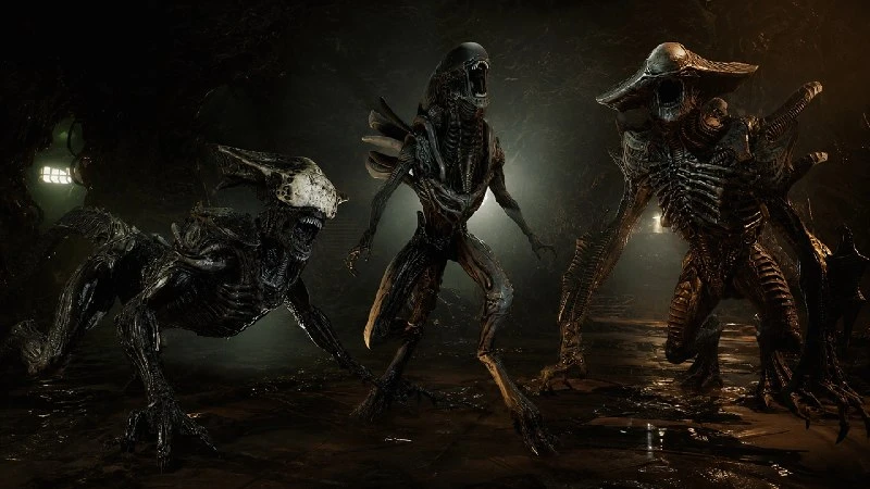 В Cold Iron Studios прошли сокращения на фоне проблем с Aliens: Fireteam Elite 2. 🎮