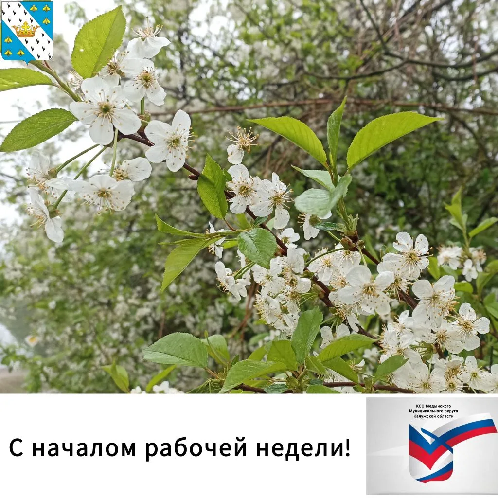 🫶С началом рабочей недели, друзья!