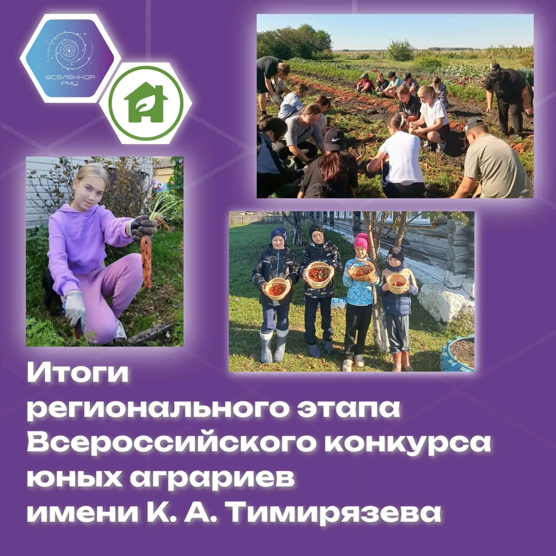 🌱 От ростка до победы!