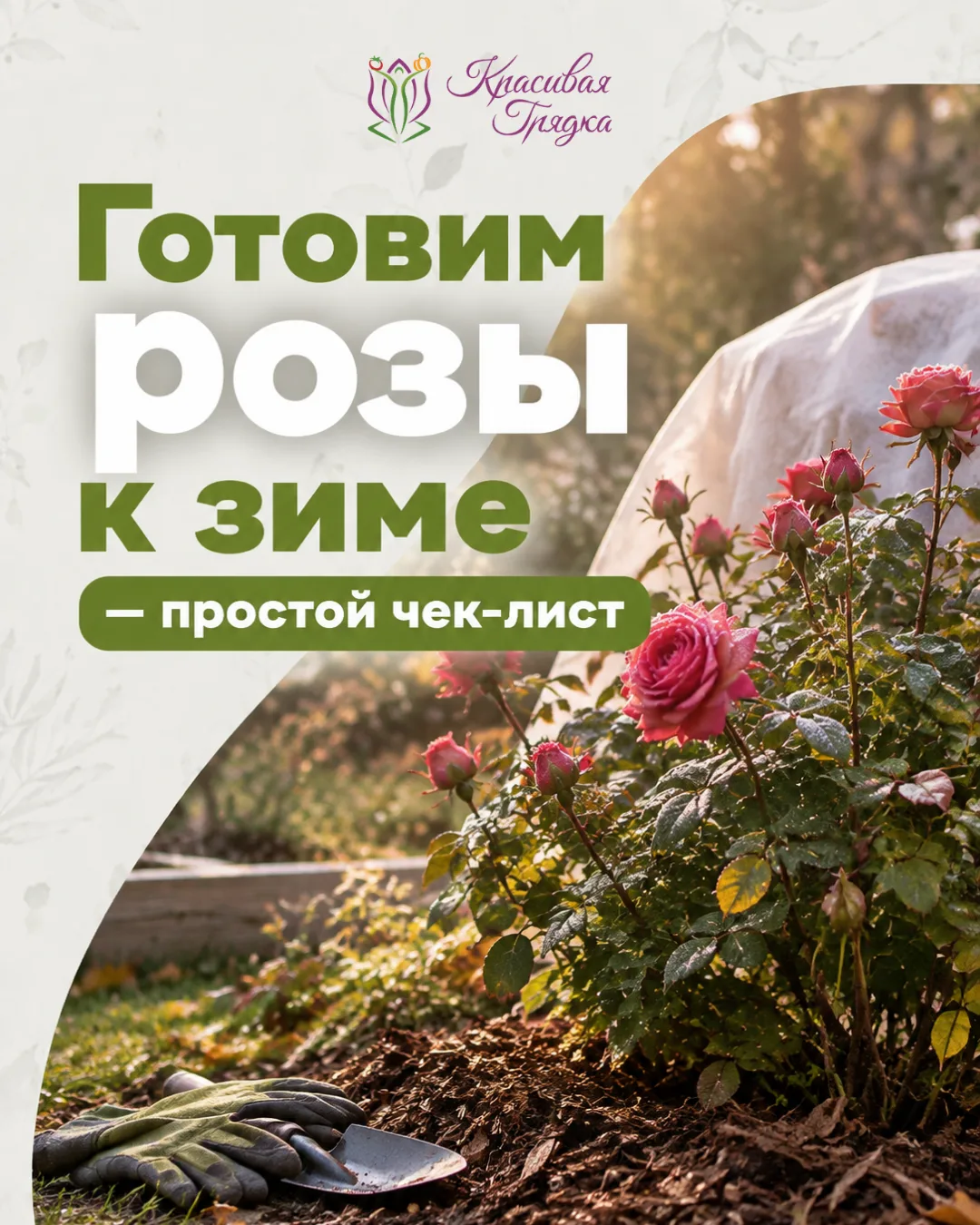 🌹 Готовим розы к зиме — простой чек-лист