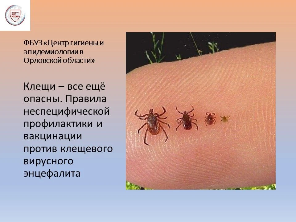 📌Да, клещи все еще опасны — в сентябре в самом разгаре вторая волна их сезонной активн...