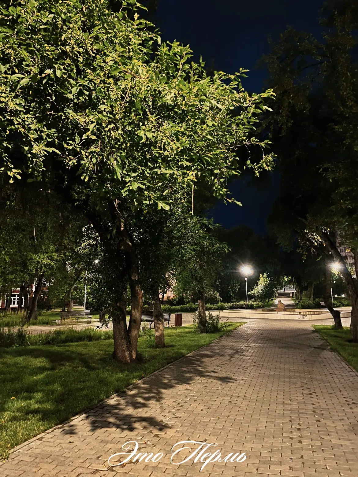 С наступлением ночи сквер Уральских добровольцев — одно из самых атмосферных мест в городе
