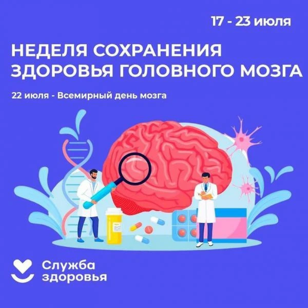Как сохранить здоровье головного мозга на долгие годы.