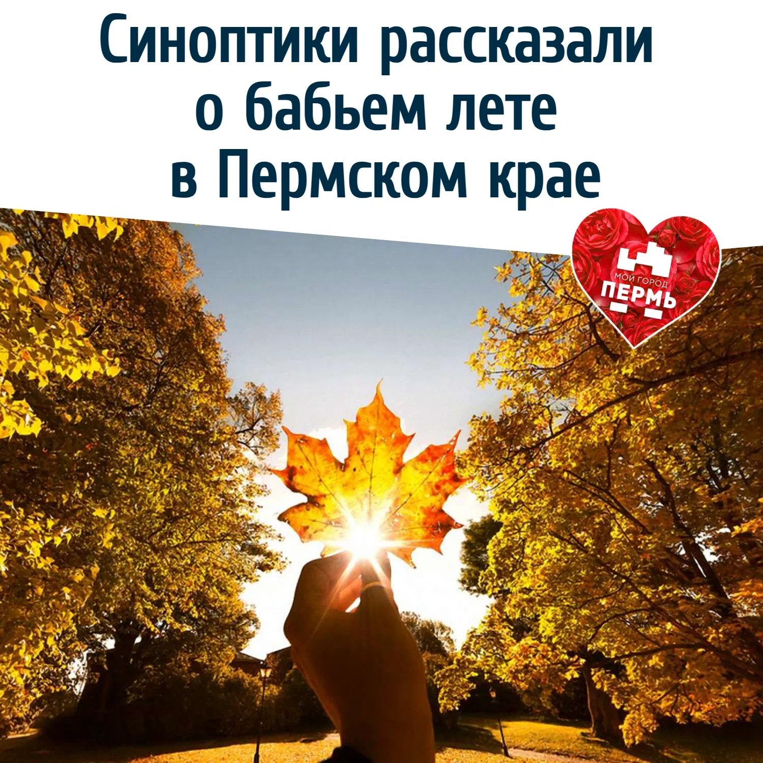 🍁 Синоптики рассказали о бабьем лете в Пермском крае 💥