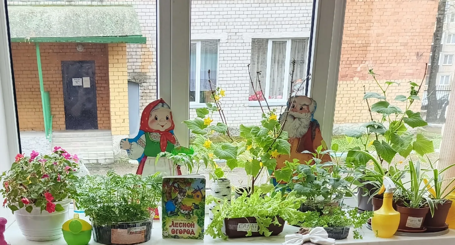 Наш урожай - просто класс! 🌿🐦