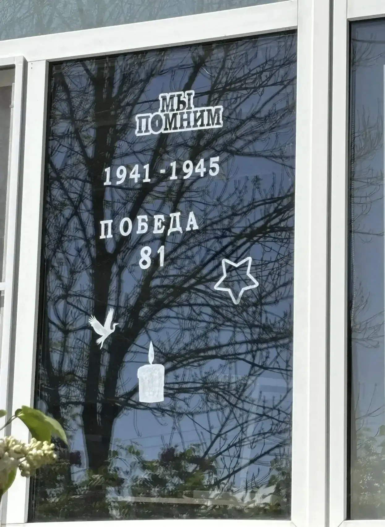 🪟🕯️Окна Победы!   ✍️В преддверии Дня Победы наши обучающиеся с классными руководителями принимают уч