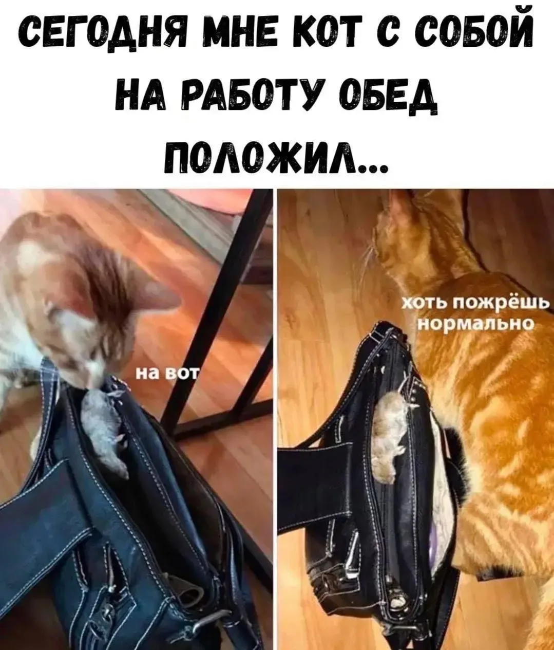 Счастливые открытки 💌