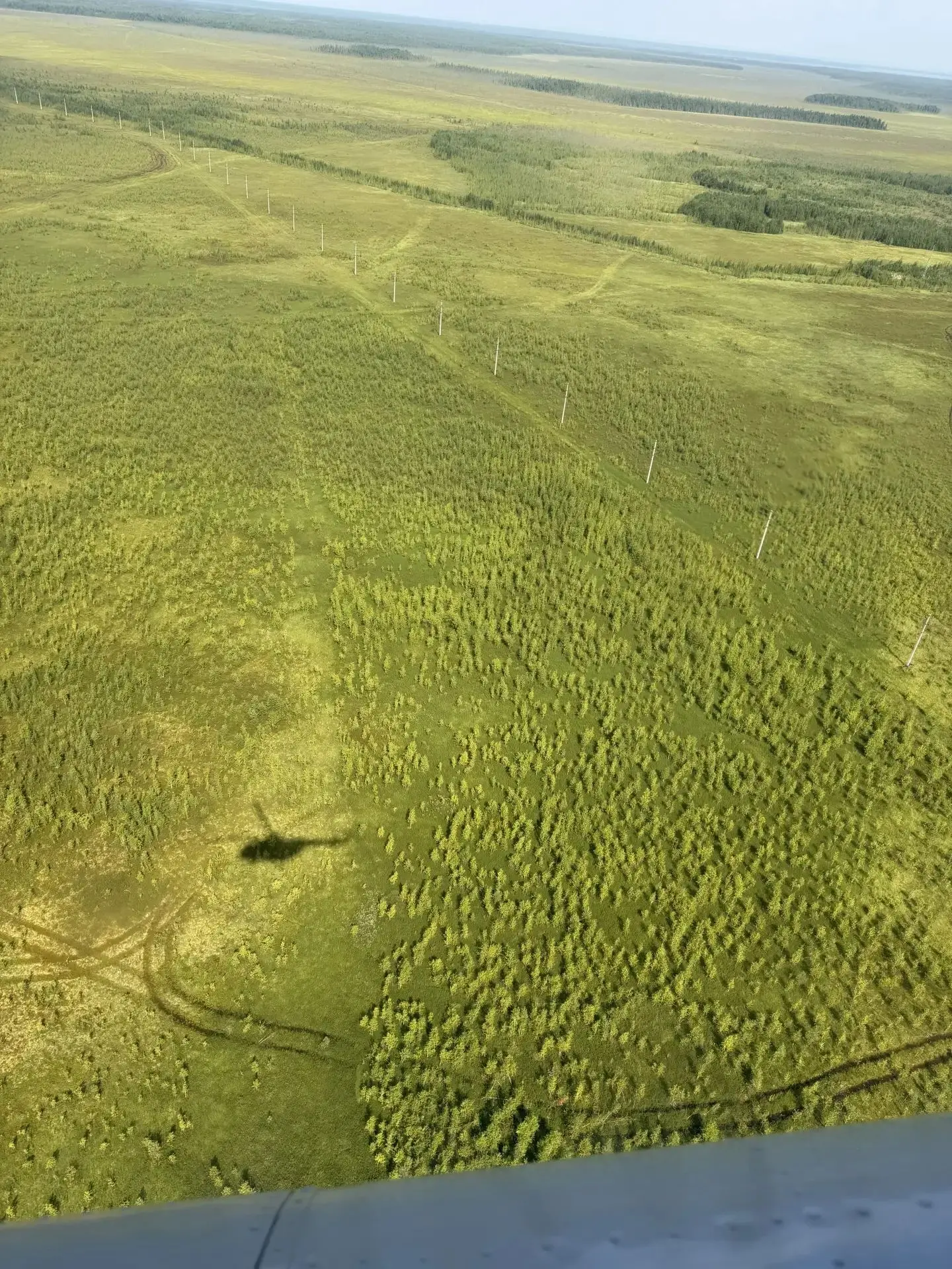 🚁 Экспедиция «Додо: Первый шаг» завершена!

Мы вернулись с результатами, которые станут основой для