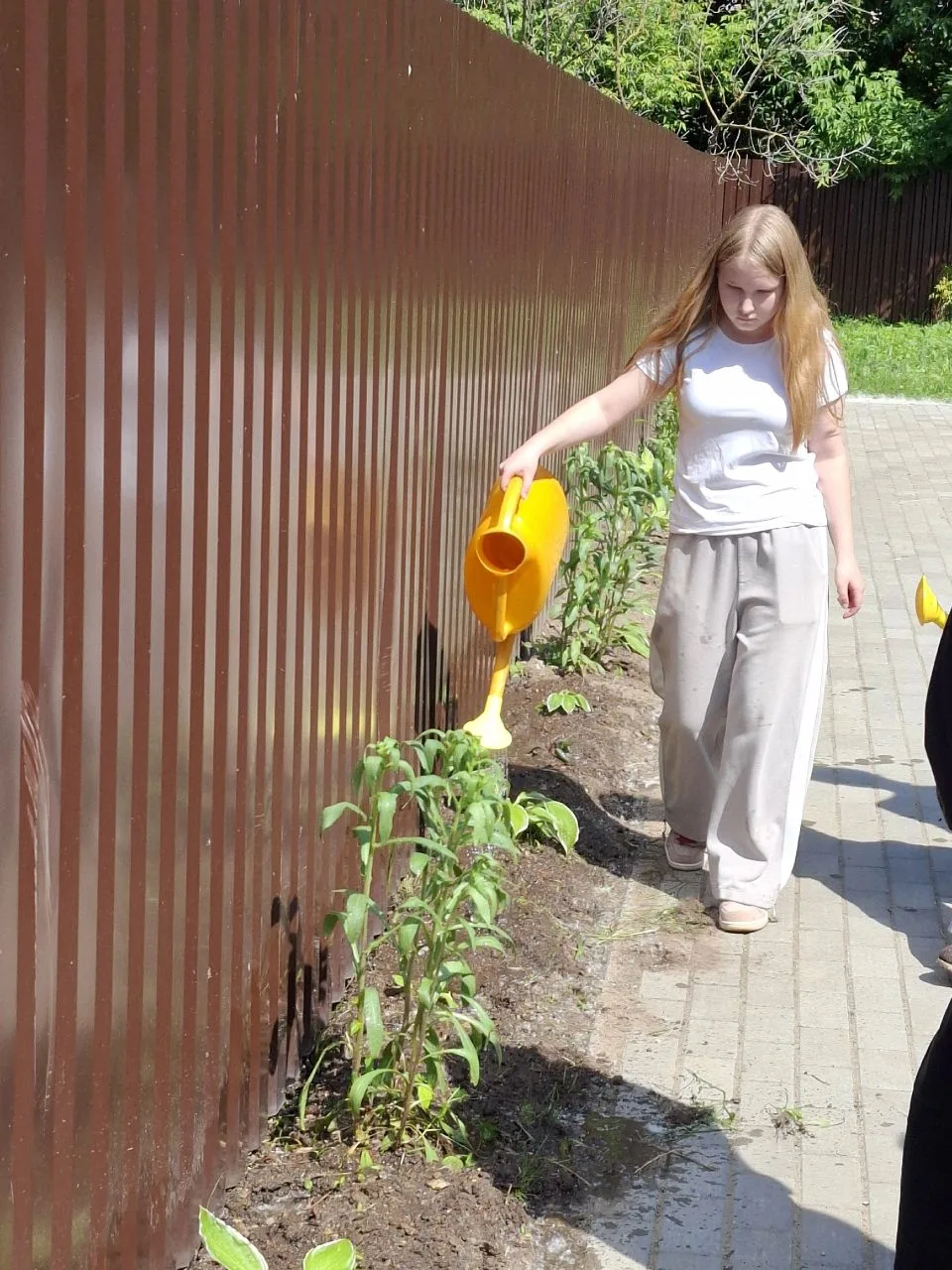 💥 Восьмой день ЛТО "Трудовой десант".