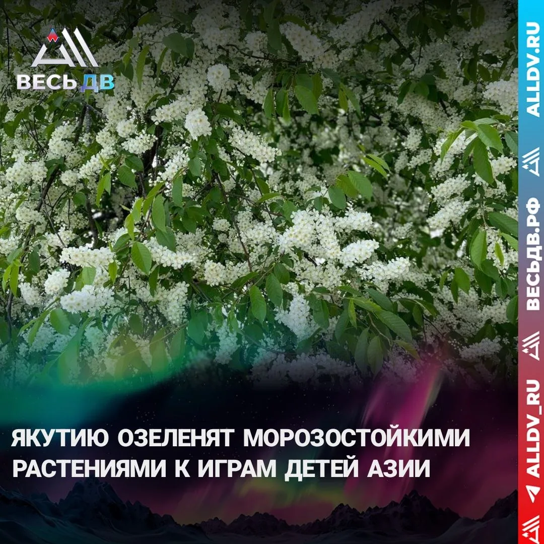 Акация, сирень и боярышник украсят Якутию к Играм детей Азии