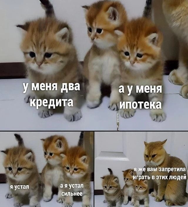 ❗️Больше детей — ниже процент: с 1 октября власти меняют условия по семейной ипотеке