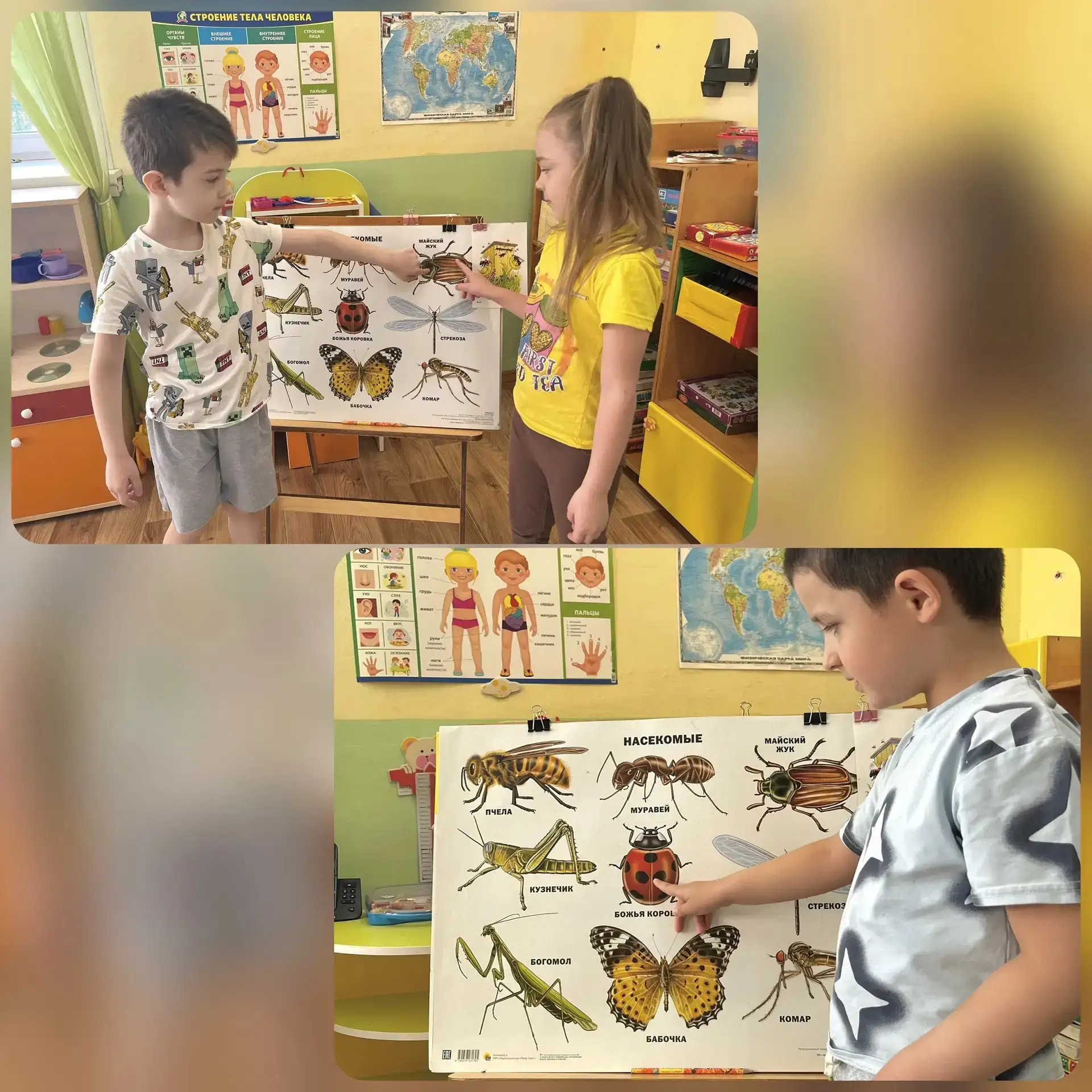 🦋 Тематическая неделя «Насекомые» в группе № 5 «Цветочный городок» 🦋