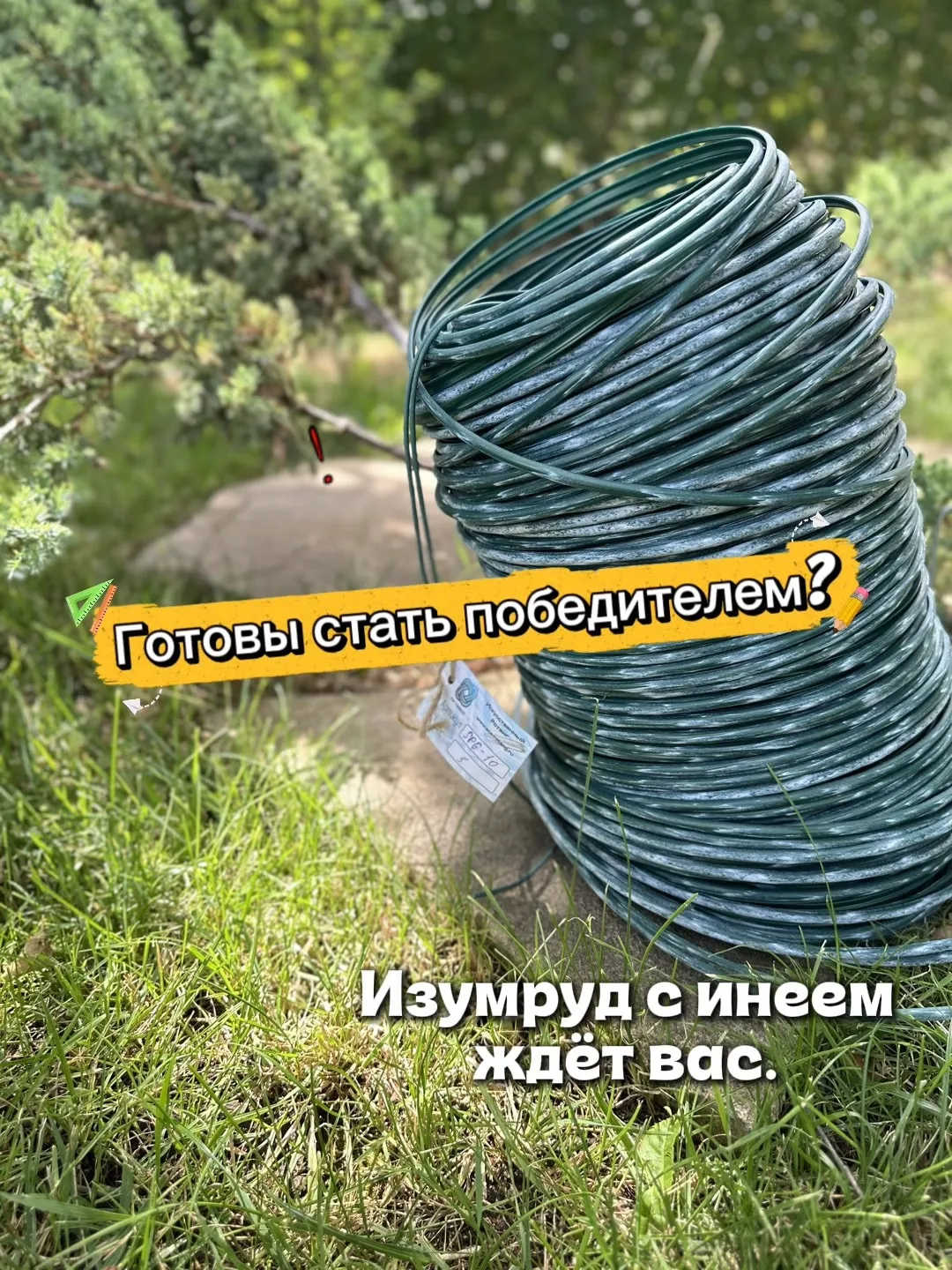 Жду претендентов на заслуженное 2 и 3 место в такой замечательной компании. Пыльная роза и Карамель 