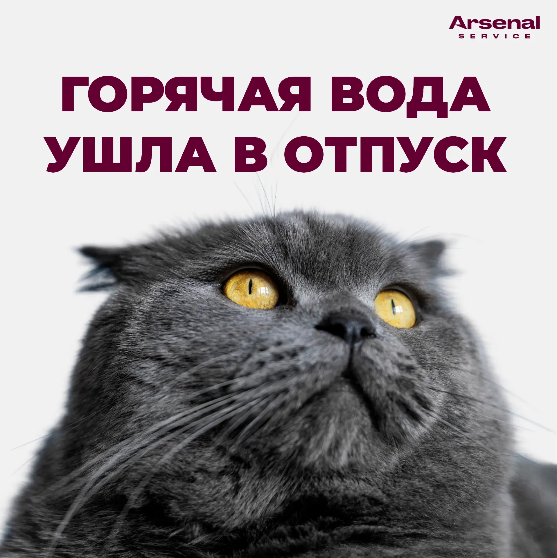 🌟Уважаемые жители ЖК "Солнечный" и ЖК "Фотограф"!
📌Напоминаем, что ежегодный летний квест — планов