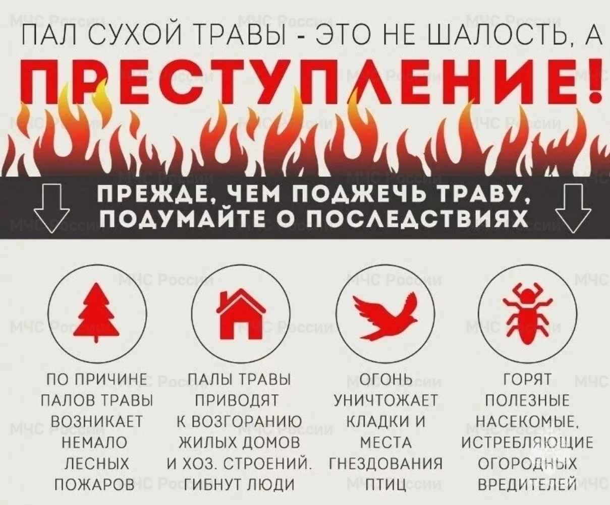 В Ухте зафиксированы первые случаи пала сухой травы ❗